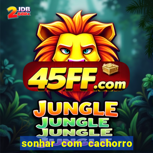 sonhar com cachorro numeros da mega sena
